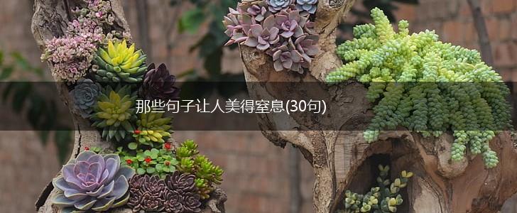 那些句子让人美得窒息(30句),第1张