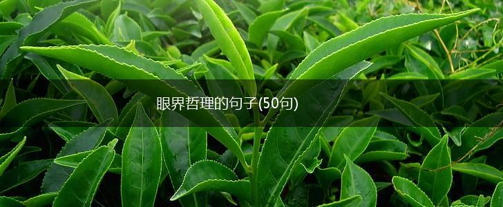眼界哲理的句子(50句),第1张