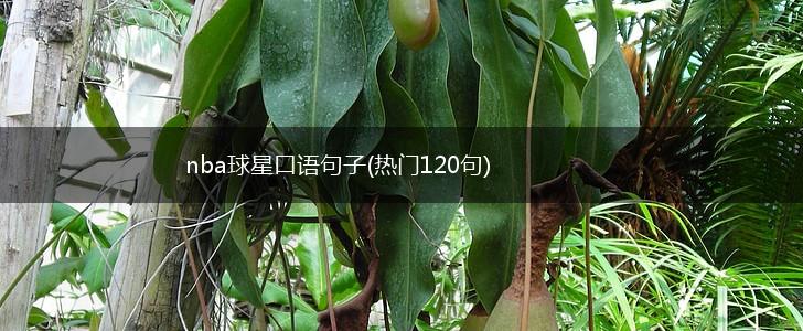 nba球星口语句子(热门120句),第1张