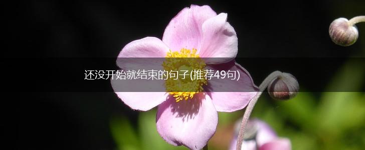 还没开始就结束的句子(推荐49句),第1张