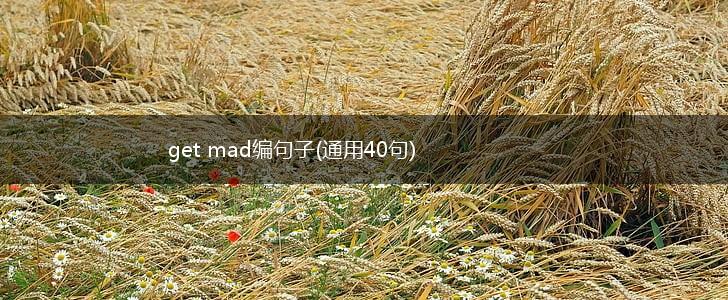 get mad编句子(通用40句),第1张