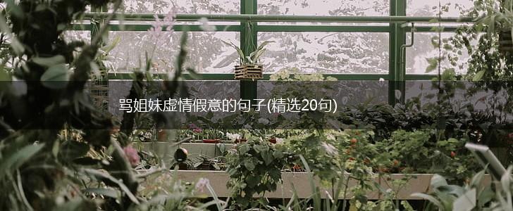 骂姐妹虚情假意的句子(精选20句),第1张