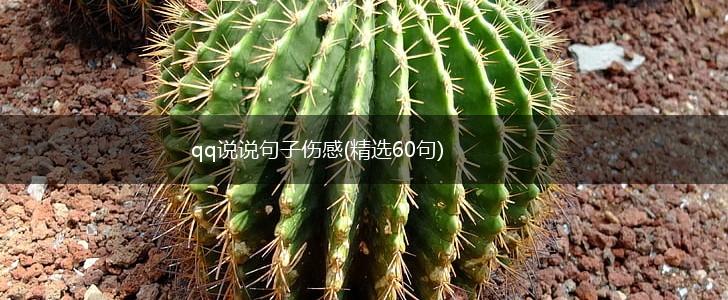 qq说说句子伤感(精选60句),第1张