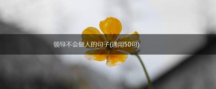 领导不会做人的句子(通用50句),第1张