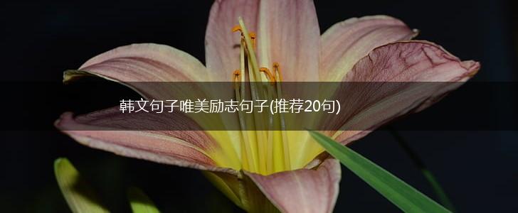 韩文句子唯美励志句子(推荐20句),第1张
