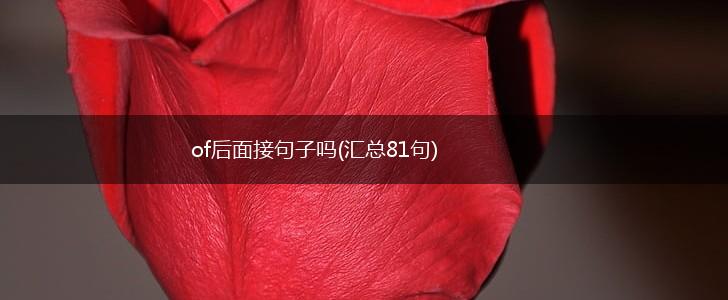 of后面接句子吗(汇总81句),第1张