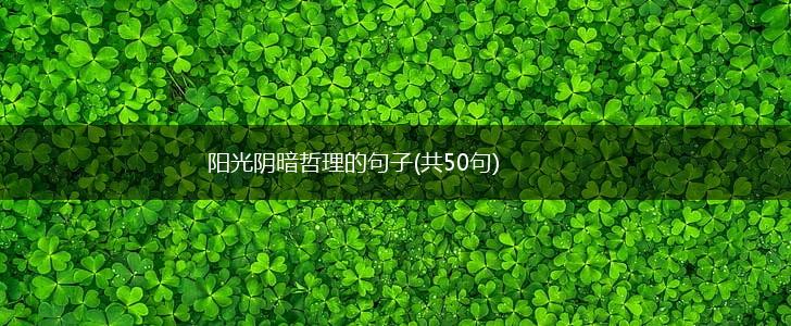 阳光阴暗哲理的句子(共50句),第1张