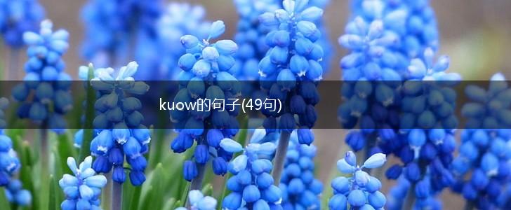 kuow的句子(49句),第1张