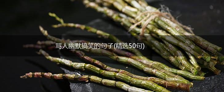 骂人幽默搞笑的句子(精选50句),第1张