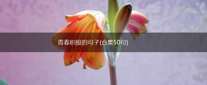 青春积极的句子(合集50句),第1张