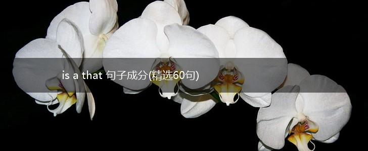is a that 句子成分(精选60句),第1张
