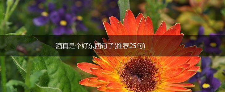 酒真是个好东西句子(推荐25句),第1张