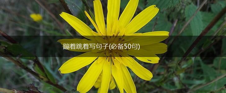 蹦着跳着写句子(必备50句),第1张