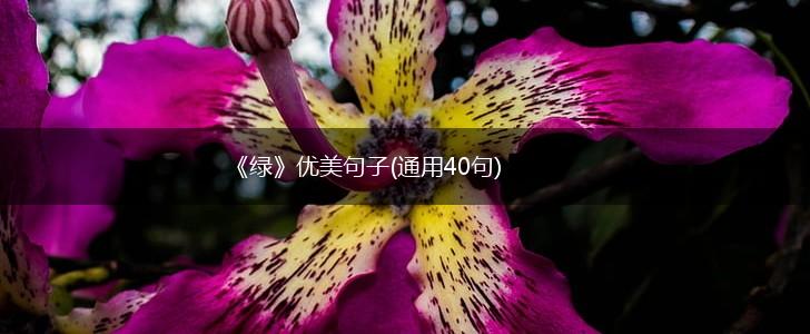 《绿》优美句子(通用40句),第1张