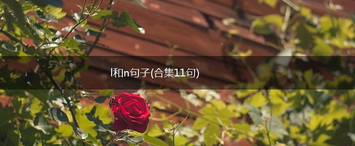 l和n句子(合集11句),第1张