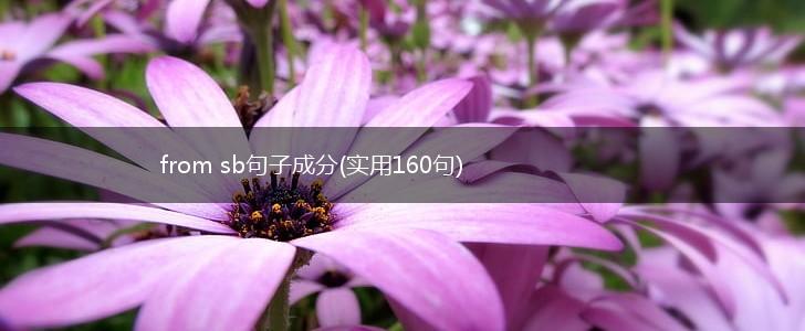from sb句子成分(实用160句),第1张