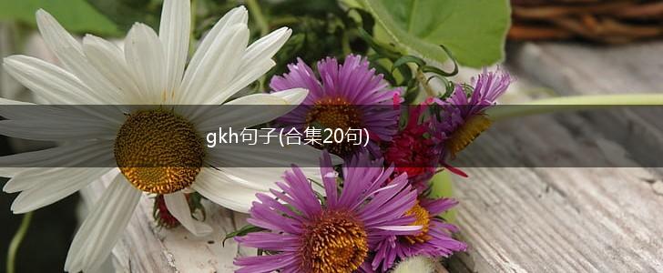 gkh句子(合集20句),第1张
