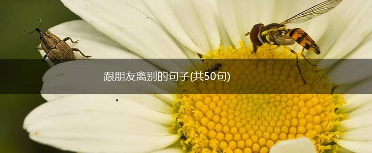 跟朋友离别的句子(共50句),第1张