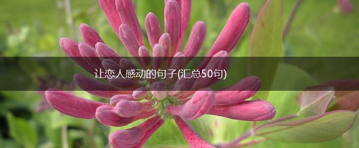 让恋人感动的句子(汇总50句),第1张