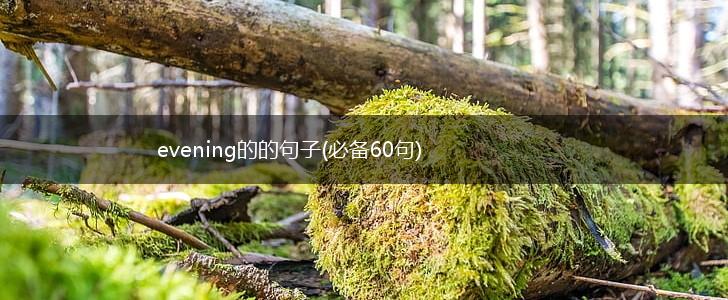 evening的的句子(必备60句),第1张