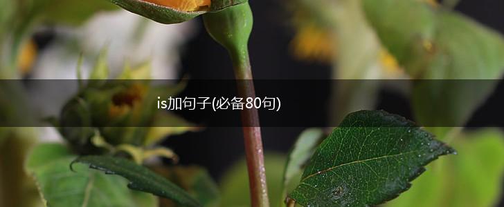 is加句子(必备80句),第1张