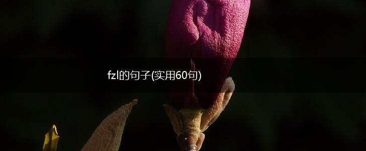 fzl的句子(实用60句),第1张