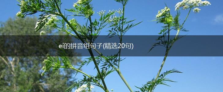 ei的拼音组句子(精选20句),第1张