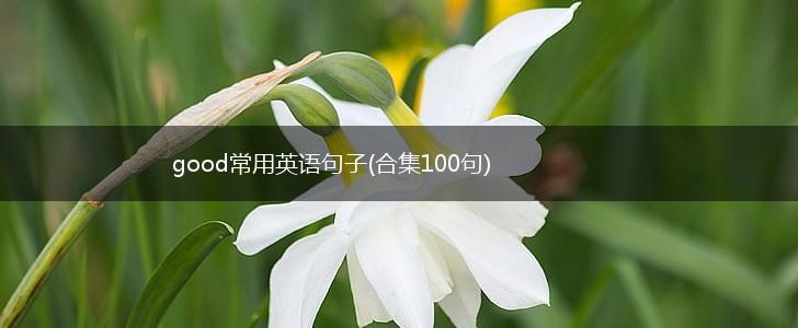 good常用英语句子(合集100句),第1张