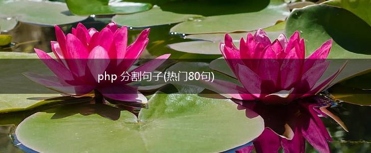 php 分割句子(热门80句),第1张