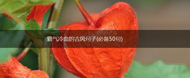 霸气冷血的古风句子(必备50句),第1张