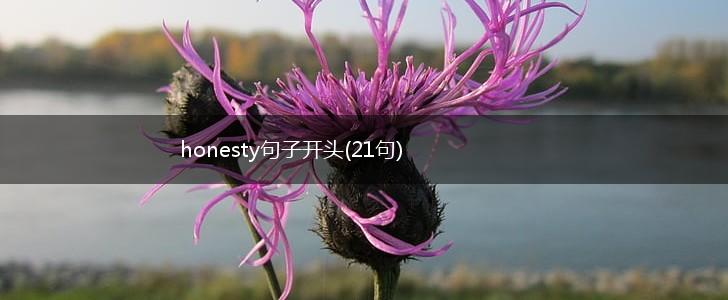 honesty句子开头(21句),第1张