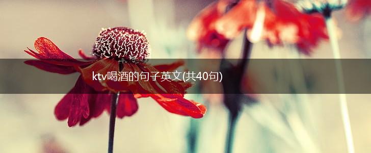 ktv喝酒的句子英文(共40句),第1张
