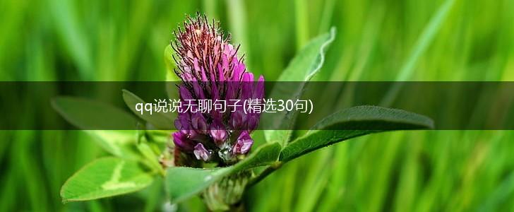 qq说说无聊句子(精选30句),第1张