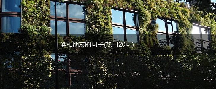 酒和朋友的句子(热门20句),第1张
