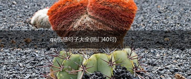qq伤感句子大全(热门40句),第1张