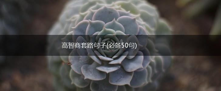 高智商套路句子(必备50句),第1张