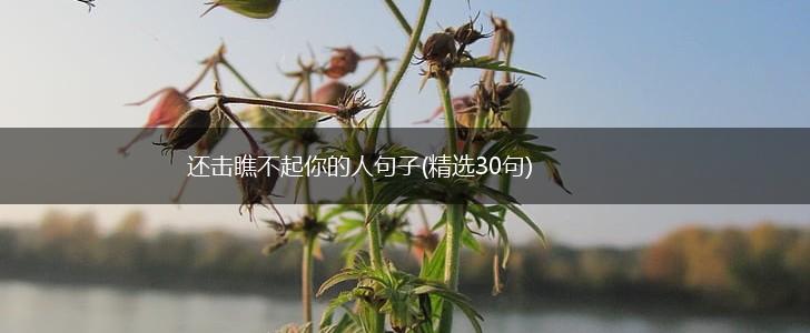 还击瞧不起你的人句子(精选30句),第1张