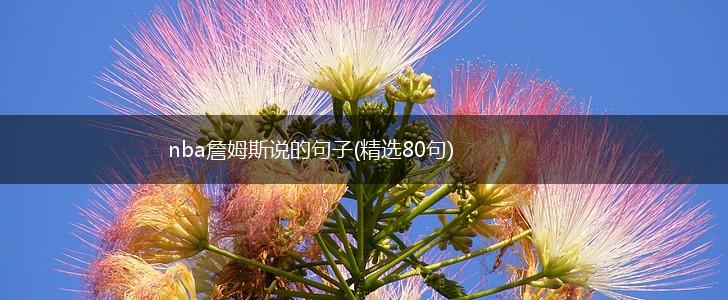 nba詹姆斯说的句子(精选80句),第1张