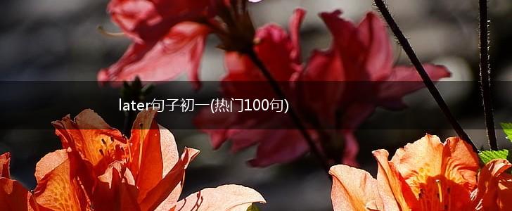 later句子初一(热门100句),第1张