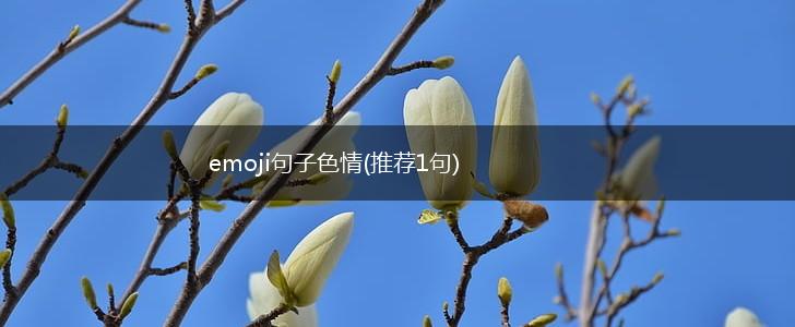 emoji句子色情(推荐1句),第1张