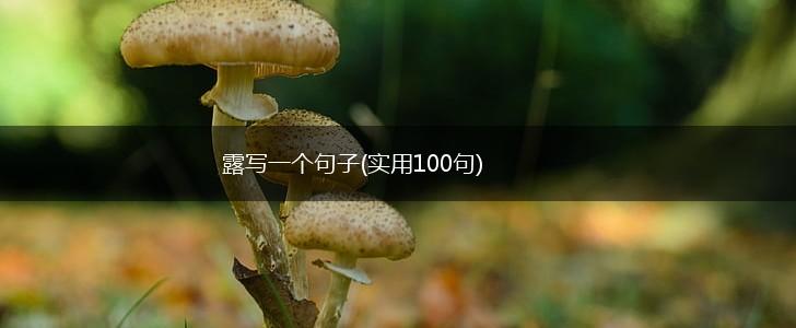 露写一个句子(实用100句),第1张