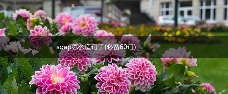 soap怎么造句子(必备60句),第1张