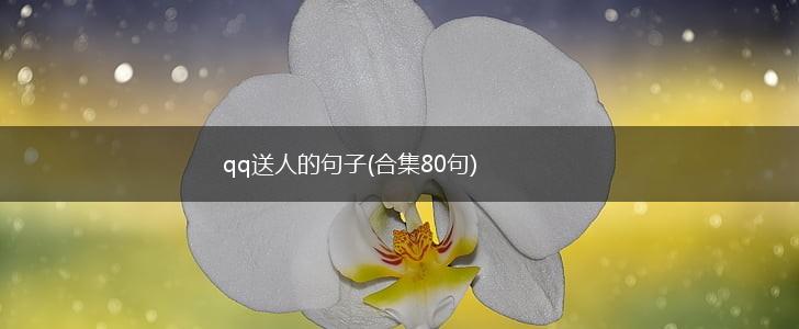 qq送人的句子(合集80句),第1张