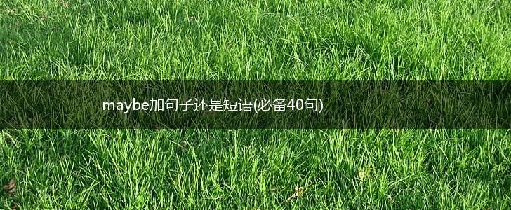 maybe加句子还是短语(必备40句),第1张