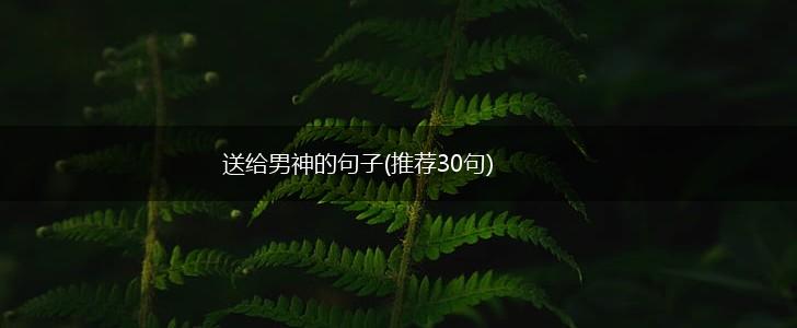 送给男神的句子(推荐30句),第1张