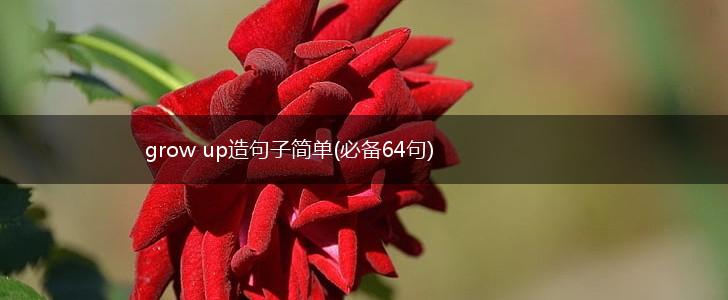 grow up造句子简单(必备64句),第1张