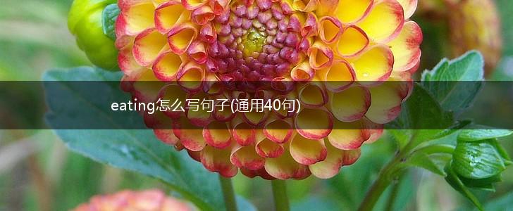eating怎么写句子(通用40句),第1张