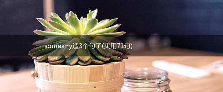 someany造3个句子(实用71句),第1张