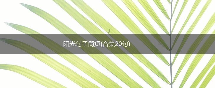阳光句子简短(合集20句),第1张
