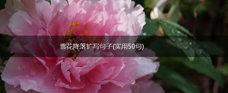 雪花降落扩写句子(实用50句),第1张
